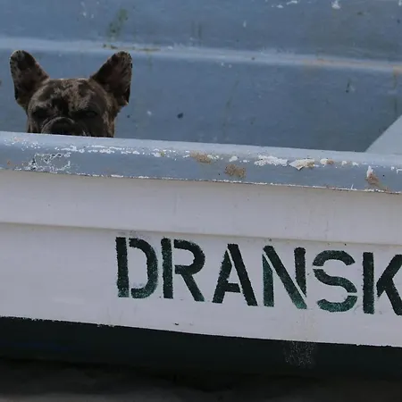 Ddr Kult Steilwandzelt Pouch Direkt Am 드란스케