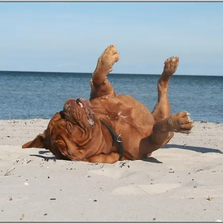 Ddr Kult Steilwandzelt Pouch Direkt Am 럭셔리텐트 드란스케