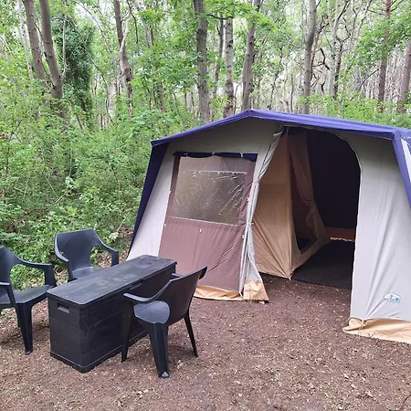 럭셔리텐트 Ddr Kult Steilwandzelt Pouch Direkt Am 드란스케